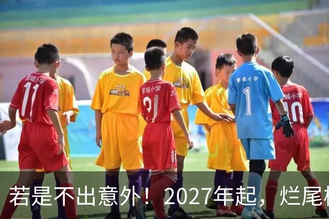 若是不出意外！2027年起，烂尾楼，断供，法拍房或迎来“大变局”