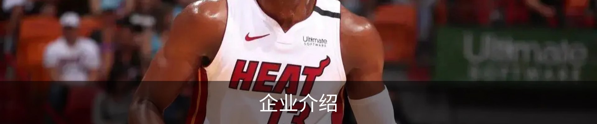 企业介绍