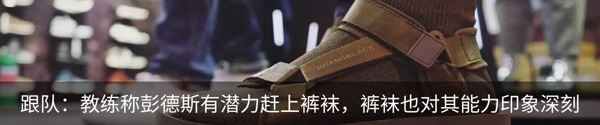 新闻动态